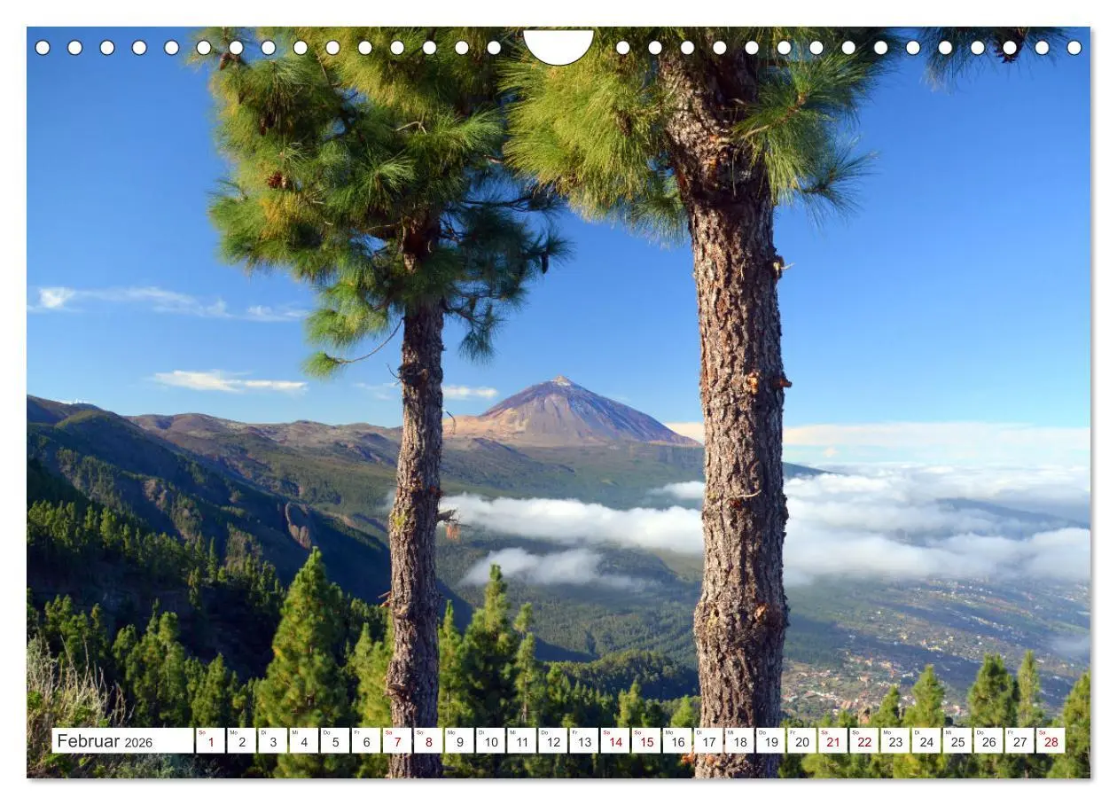 Bild: 9783457533260 | Teneriffa Insel der Glückseligen (Wandkalender 2026 DIN A4 quer),...