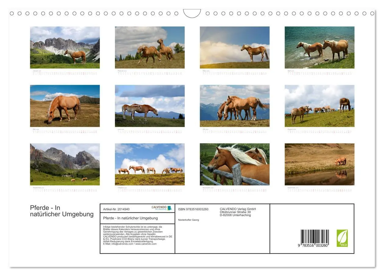 Bild: 9783516003260 | Pferde - In natürlicher Umgebung (Wandkalender 2026 DIN A3 quer),...
