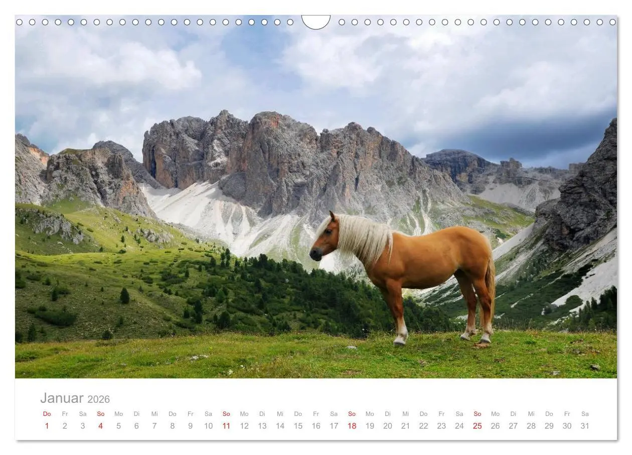 Bild: 9783516003260 | Pferde - In natürlicher Umgebung (Wandkalender 2026 DIN A3 quer),...