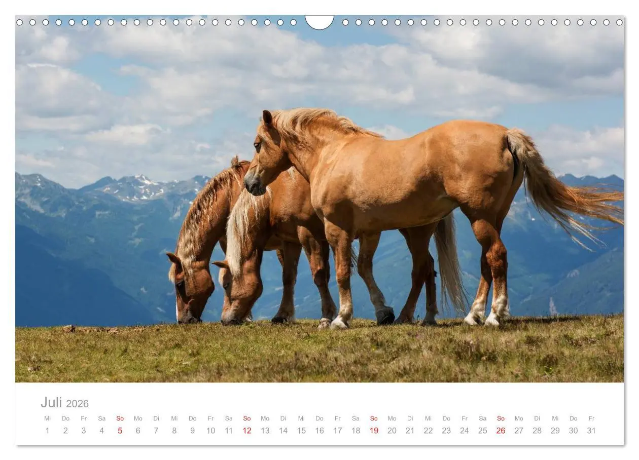 Bild: 9783516003260 | Pferde - In natürlicher Umgebung (Wandkalender 2026 DIN A3 quer),...