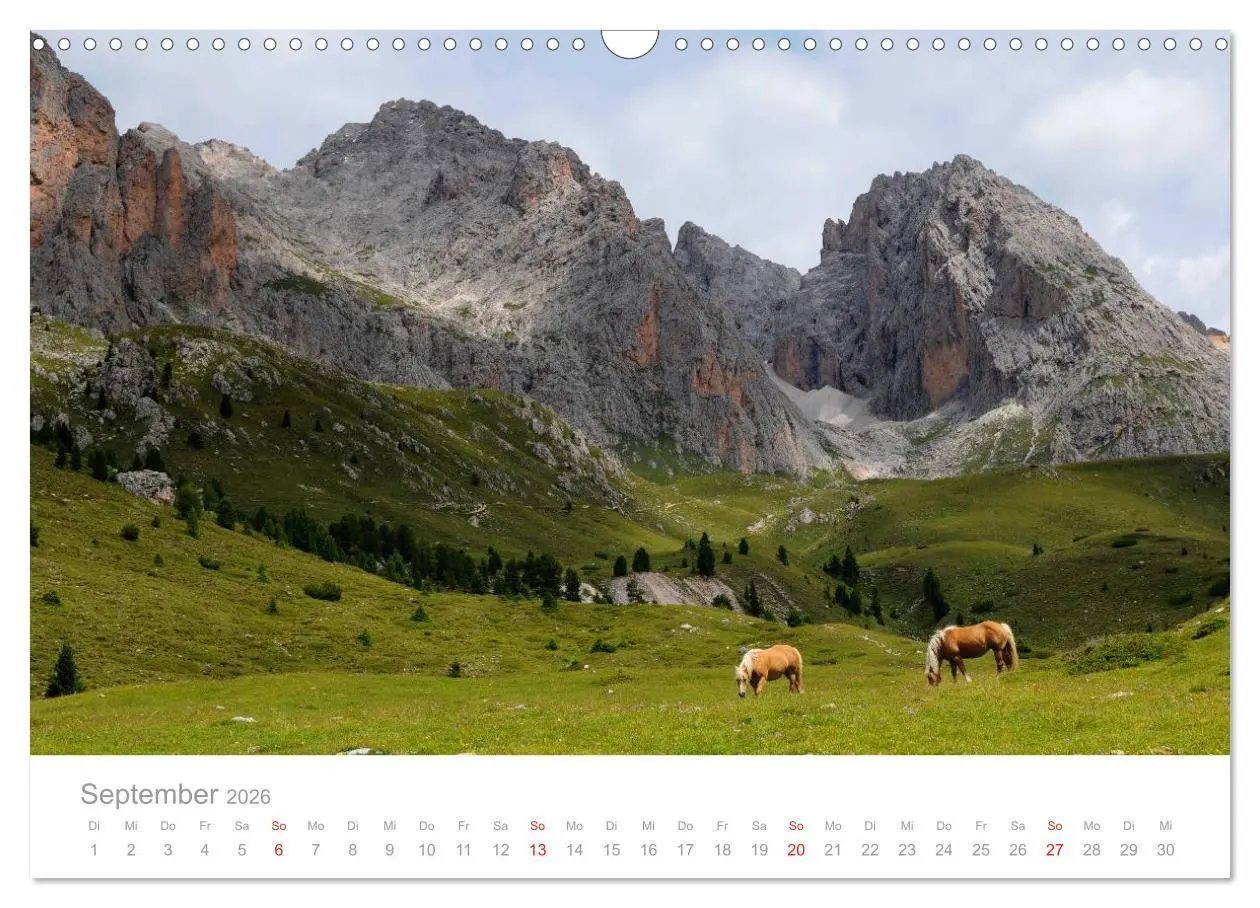 Bild: 9783516003260 | Pferde - In natürlicher Umgebung (Wandkalender 2026 DIN A3 quer),...