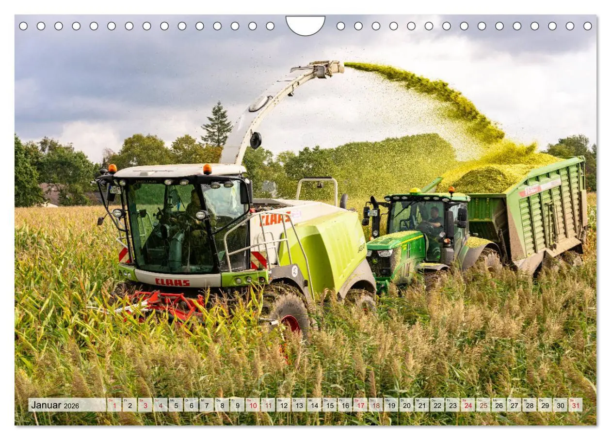 Bild: 9783457763360 | Maisernte am Deich (Wandkalender 2026 DIN A4 quer), CALVENDO...