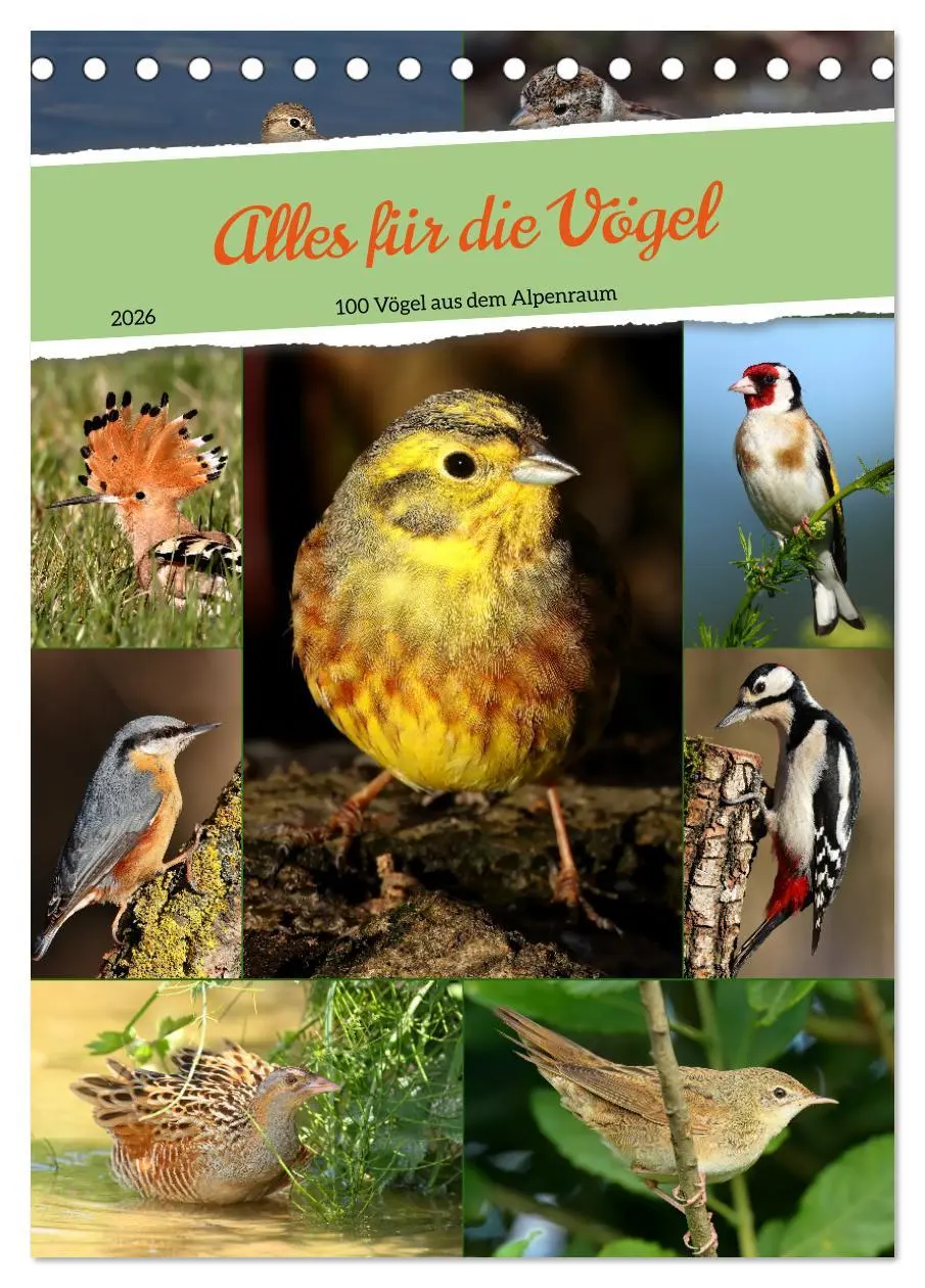 Cover: 9783516303360 | Alles für die Vögel (Tischkalender 2026 DIN A5 hoch), CALVENDO...