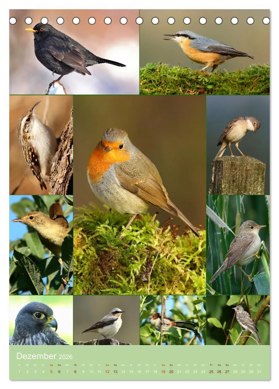 Bild: 9783516303360 | Alles für die Vögel (Tischkalender 2026 DIN A5 hoch), CALVENDO...