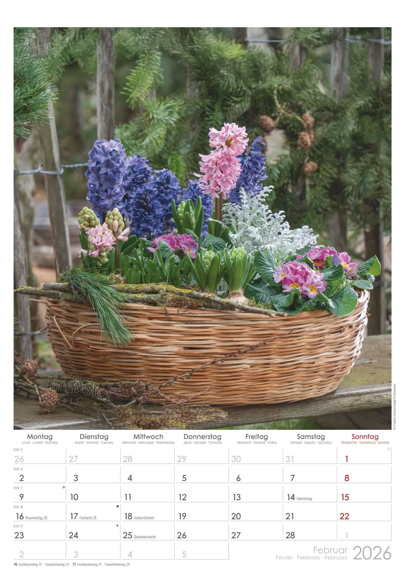 Bild: 4069095003460 | Traumgärten 2026 - Bildkalender A3 (29,7x42 cm) - Beautiful Gardens...
