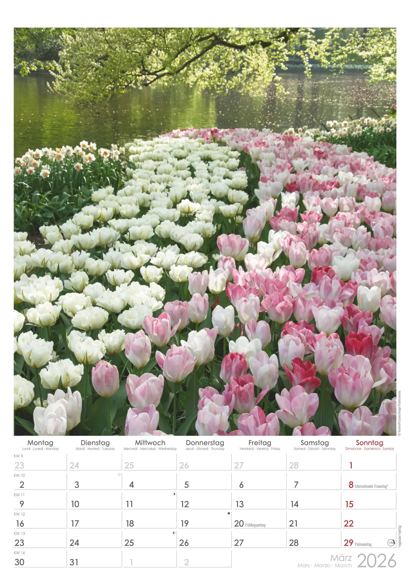 Bild: 4069095003460 | Traumgärten 2026 - Bildkalender A3 (29,7x42 cm) - Beautiful Gardens...
