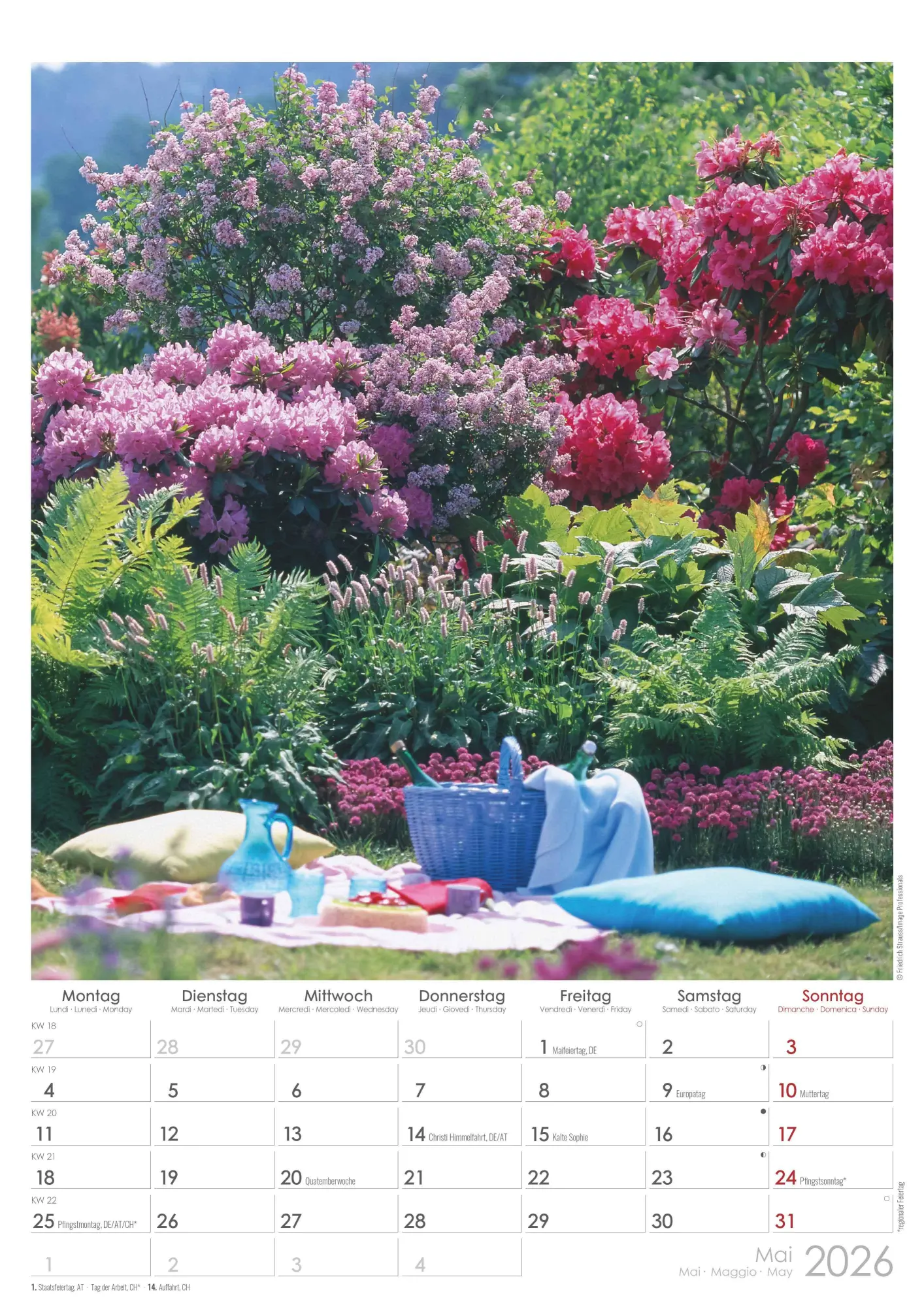Bild: 4069095003460 | Traumgärten 2026 - Bildkalender A3 (29,7x42 cm) - Beautiful Gardens...