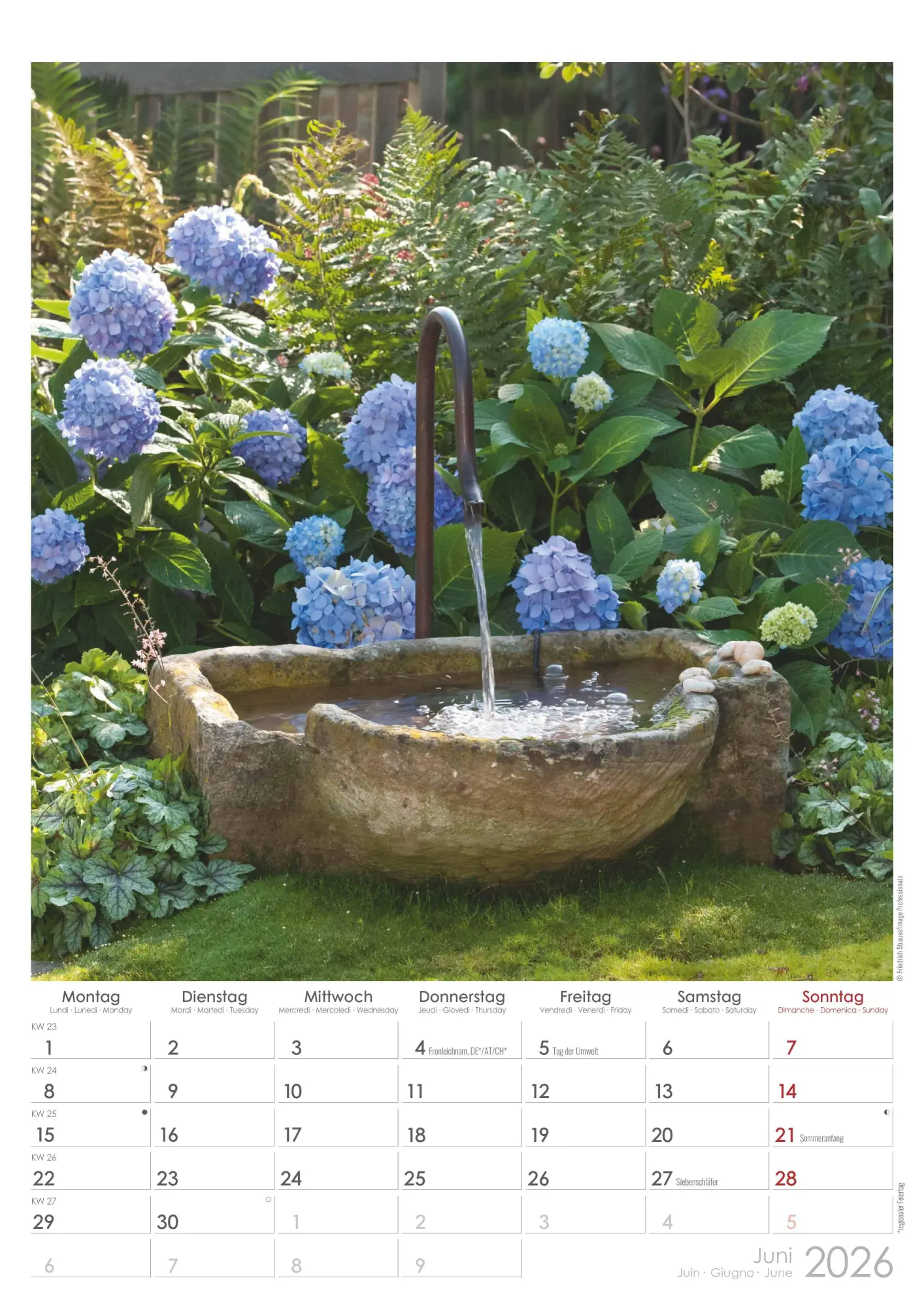 Bild: 4069095003460 | Traumgärten 2026 - Bildkalender A3 (29,7x42 cm) - Beautiful Gardens...