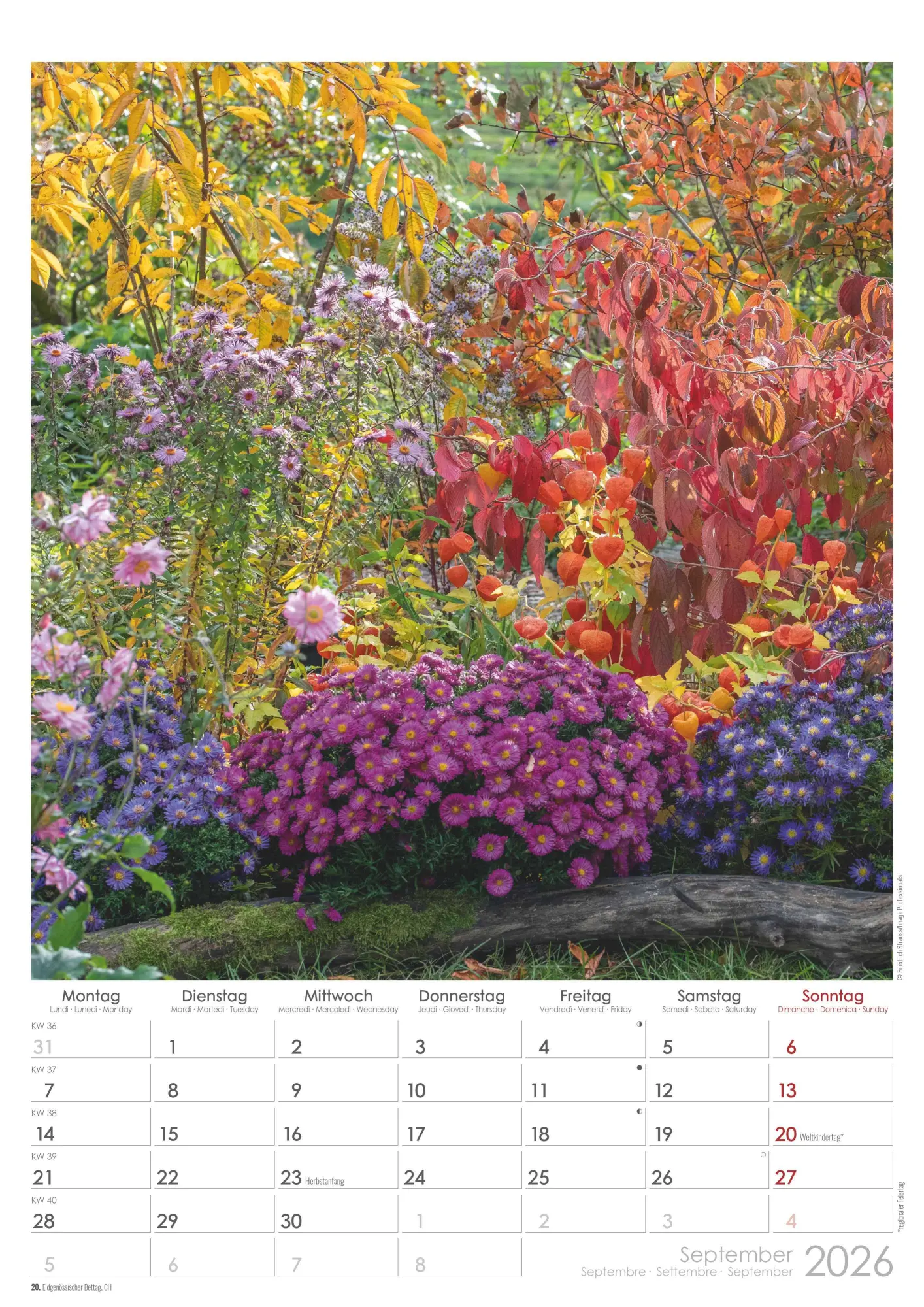 Bild: 4069095003460 | Traumgärten 2026 - Bildkalender A3 (29,7x42 cm) - Beautiful Gardens...