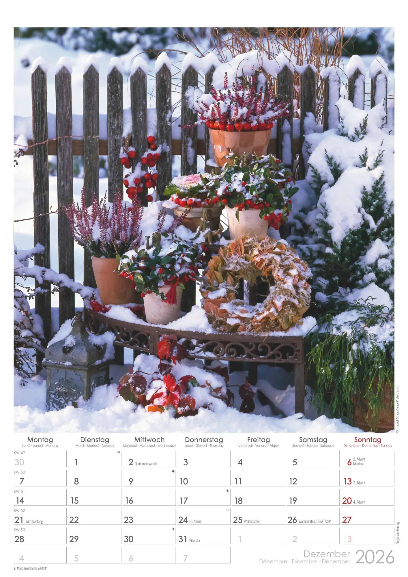 Bild: 4069095003460 | Traumgärten 2026 - Bildkalender A3 (29,7x42 cm) - Beautiful Gardens...
