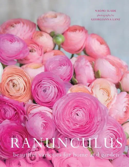 Cover: 9781423663560 | Ranuculus | Beautiful Varieties for Home and Garden | Lane (u. a.)