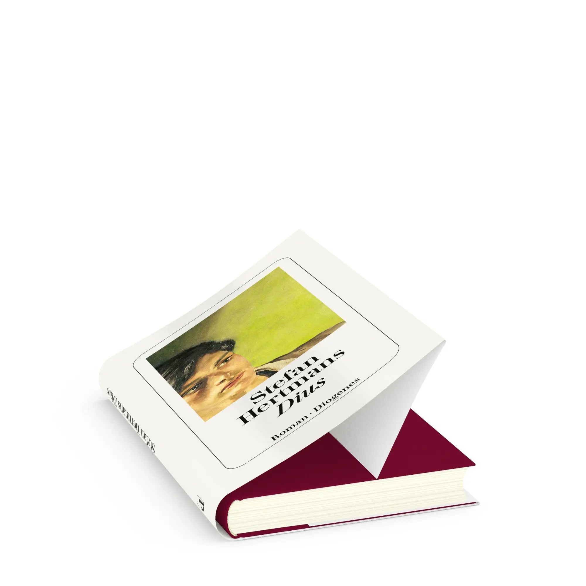 Bild: 9783257073560 | Dius | Stefan Hertmans | Buch | 352 S. | Deutsch | 2025