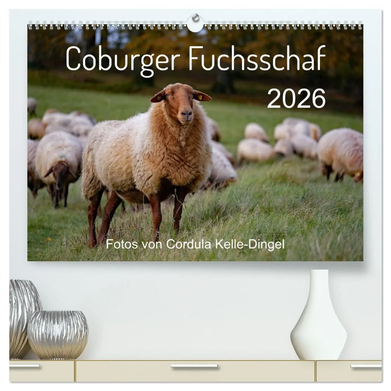 Cover: 9783457673560 | Coburger Fuchsschaf (hochwertiger Premium Wandkalender 2026 DIN A2...