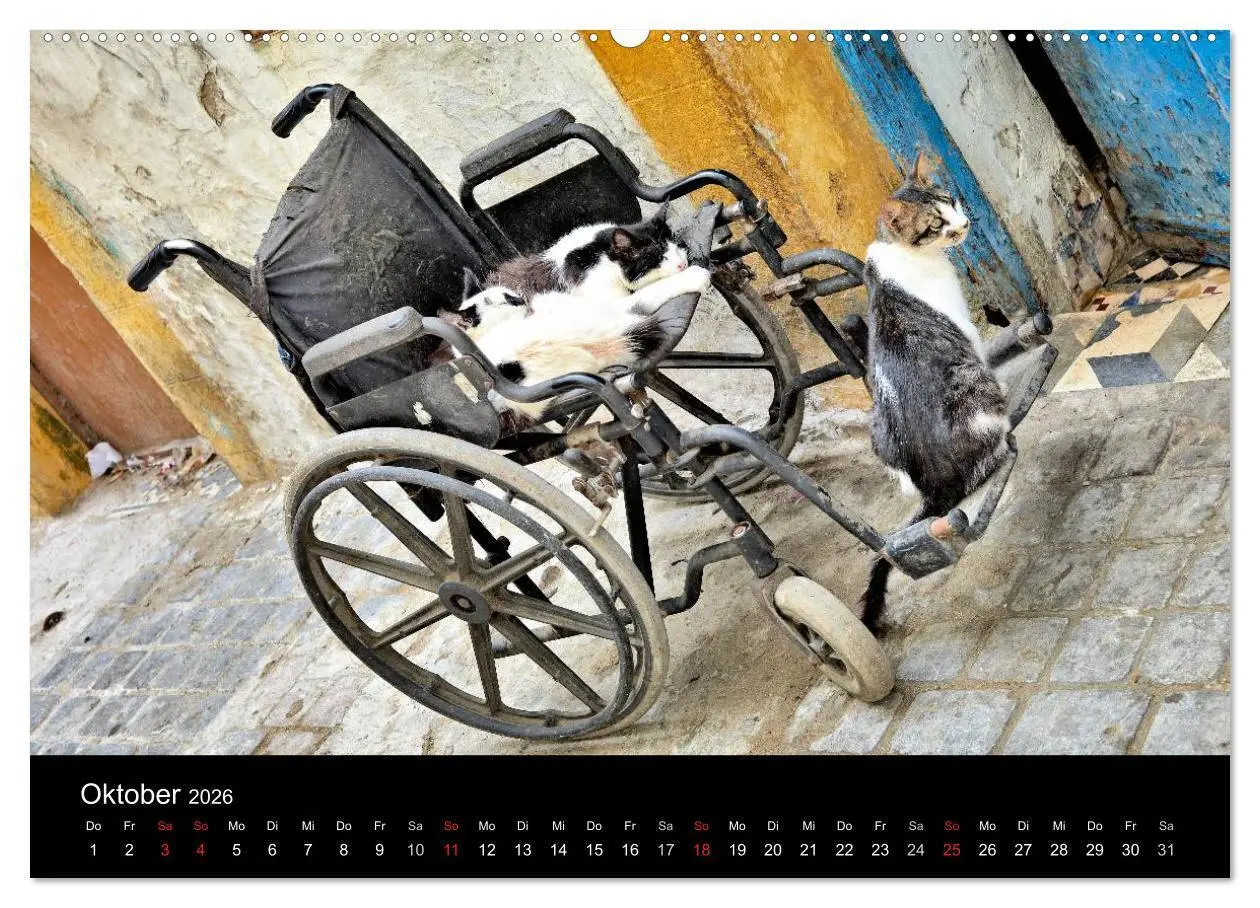 Bild: 9783457983560 | Essaouira. Marokko (hochwertiger Premium Wandkalender 2026 DIN A2...