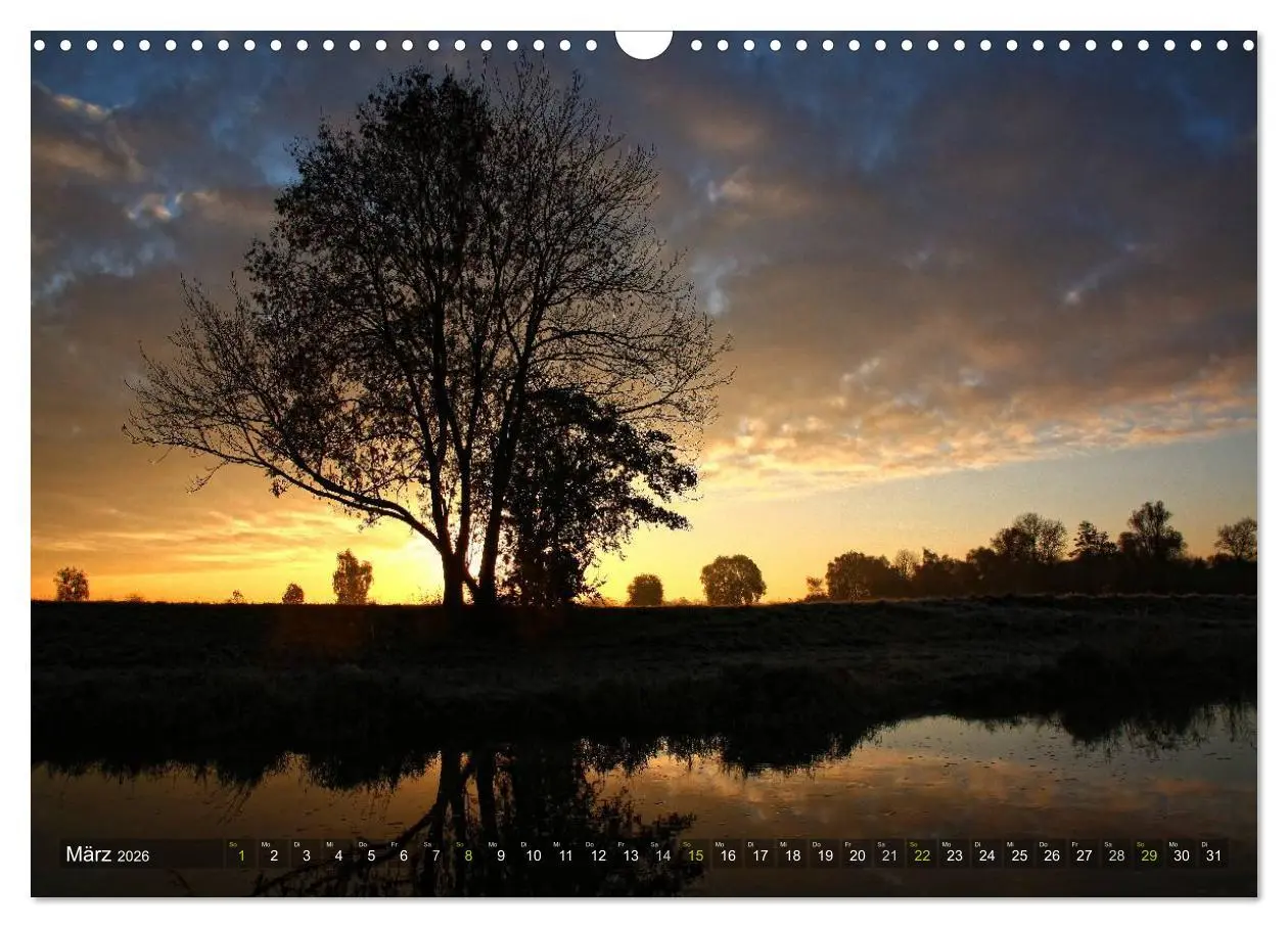 Bild: 9783516143560 | Bäume (Wandkalender 2026 DIN A3 quer), CALVENDO Monatskalender | Cross