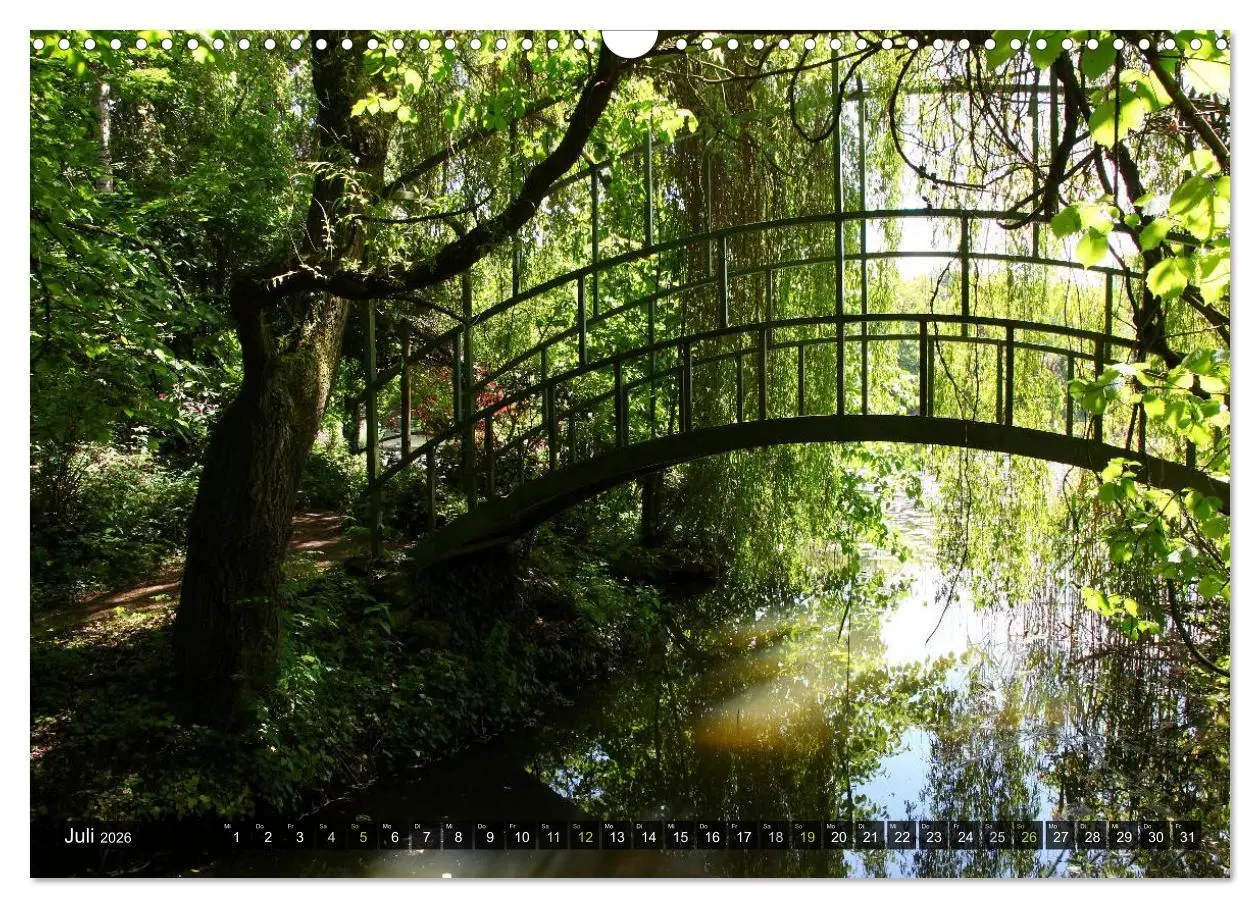 Bild: 9783516143560 | Bäume (Wandkalender 2026 DIN A3 quer), CALVENDO Monatskalender | Cross