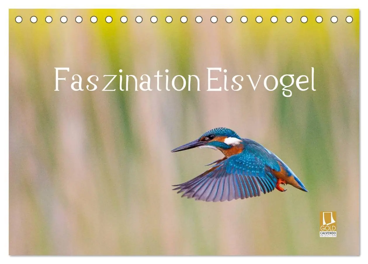 Cover: 9783457973660 | Faszination Eisvogel (Tischkalender 2026 DIN A5 quer), CALVENDO...