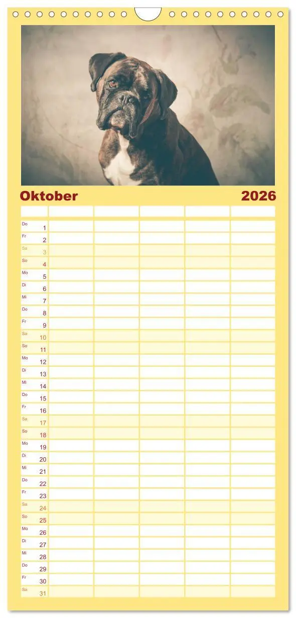 Bild: 9783516513660 | Familienplaner 2026 - Deutscher Boxer mit 5 Spalten (Wandkalender,...