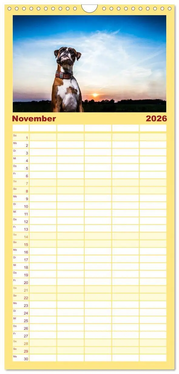 Bild: 9783516513660 | Familienplaner 2026 - Deutscher Boxer mit 5 Spalten (Wandkalender,...