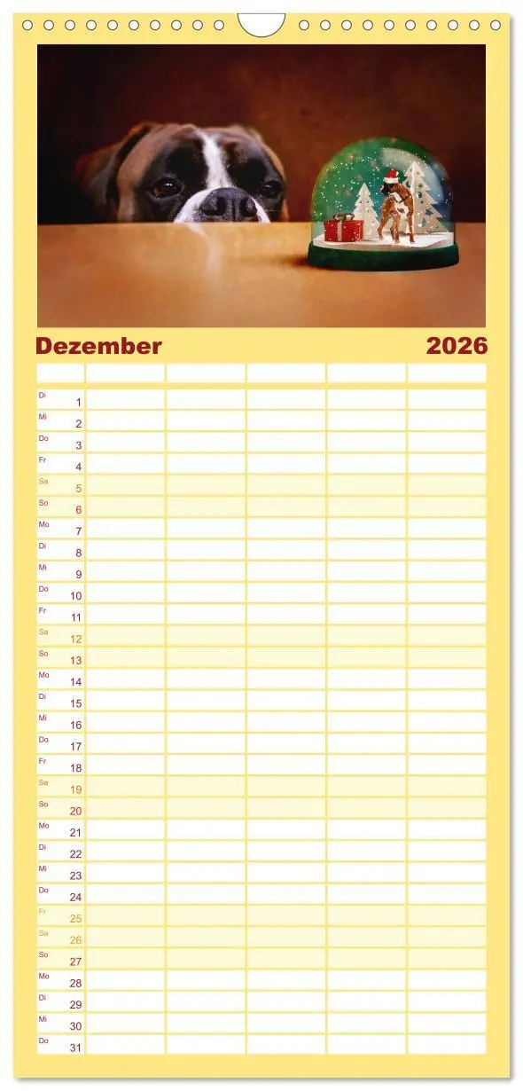 Bild: 9783516513660 | Familienplaner 2026 - Deutscher Boxer mit 5 Spalten (Wandkalender,...