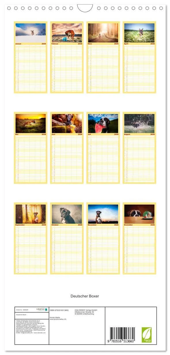 Bild: 9783516513660 | Familienplaner 2026 - Deutscher Boxer mit 5 Spalten (Wandkalender,...