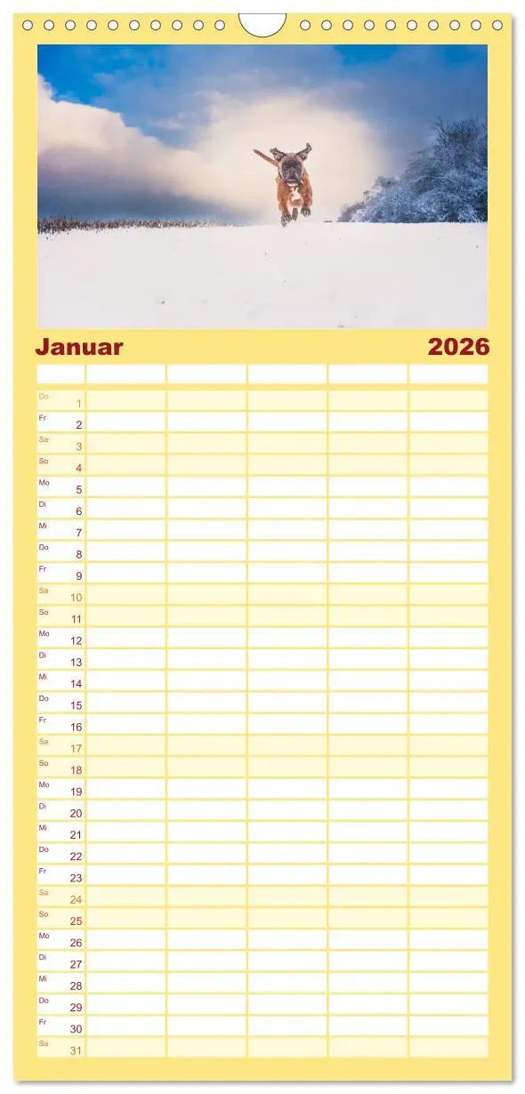 Bild: 9783516513660 | Familienplaner 2026 - Deutscher Boxer mit 5 Spalten (Wandkalender,...