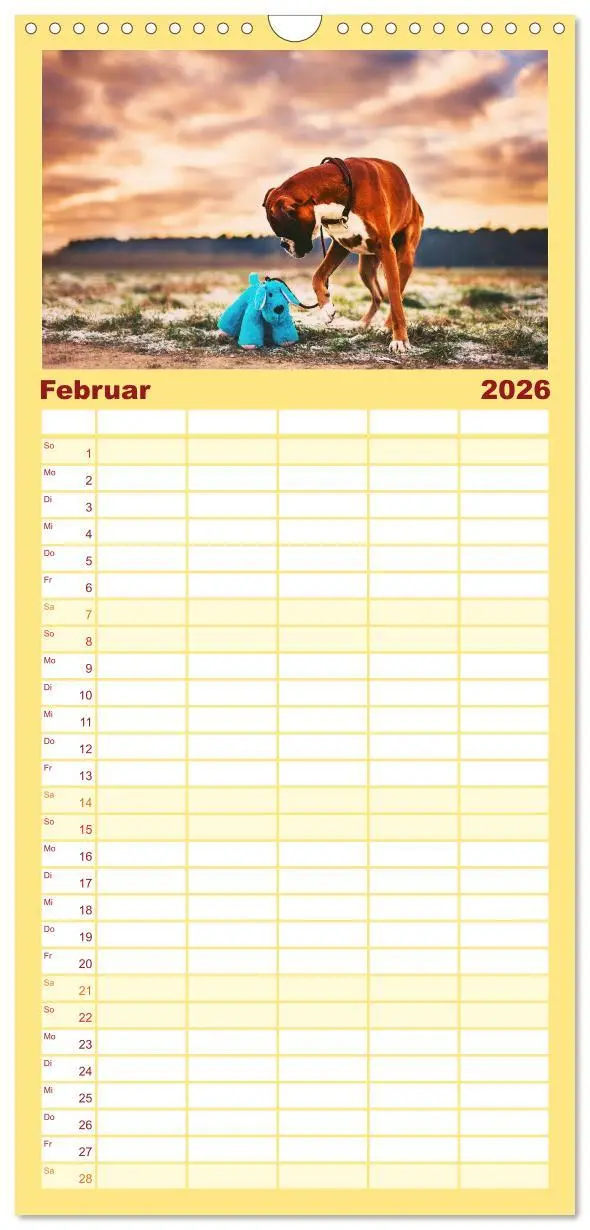 Bild: 9783516513660 | Familienplaner 2026 - Deutscher Boxer mit 5 Spalten (Wandkalender,...