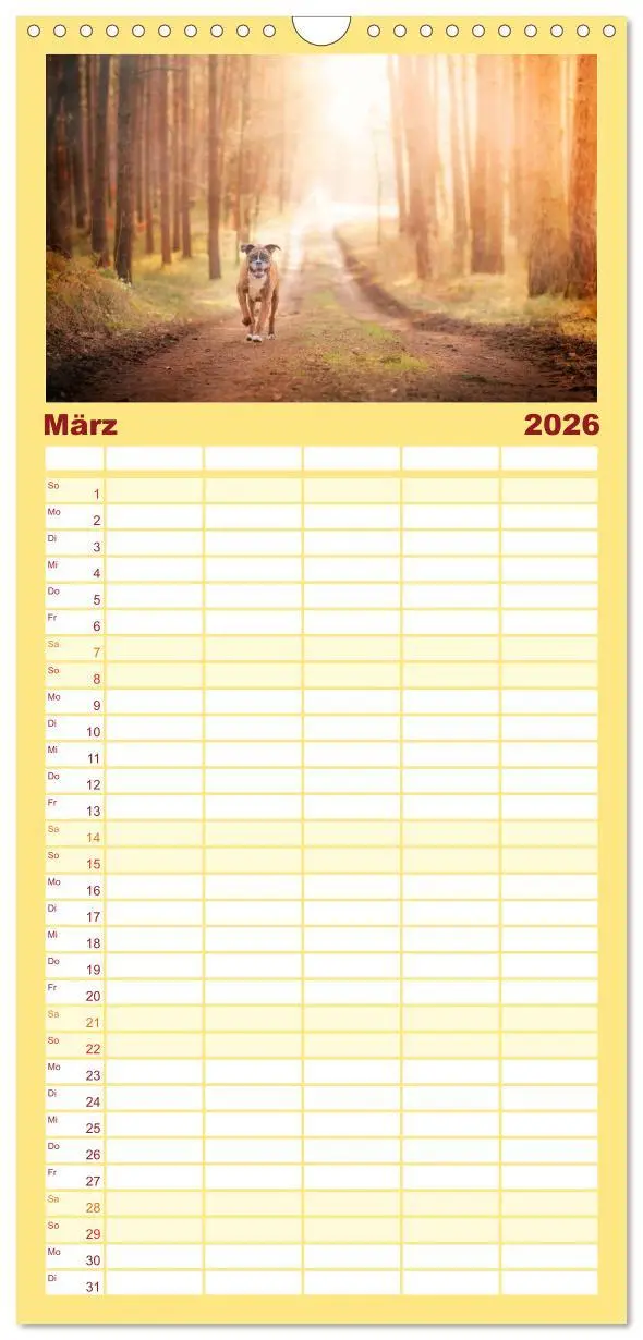 Bild: 9783516513660 | Familienplaner 2026 - Deutscher Boxer mit 5 Spalten (Wandkalender,...