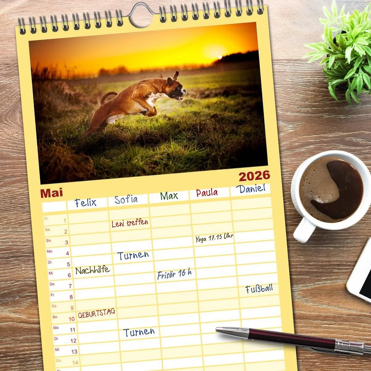 Bild: 9783516513660 | Familienplaner 2026 - Deutscher Boxer mit 5 Spalten (Wandkalender,...