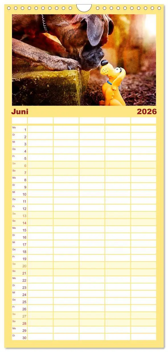 Bild: 9783516513660 | Familienplaner 2026 - Deutscher Boxer mit 5 Spalten (Wandkalender,...