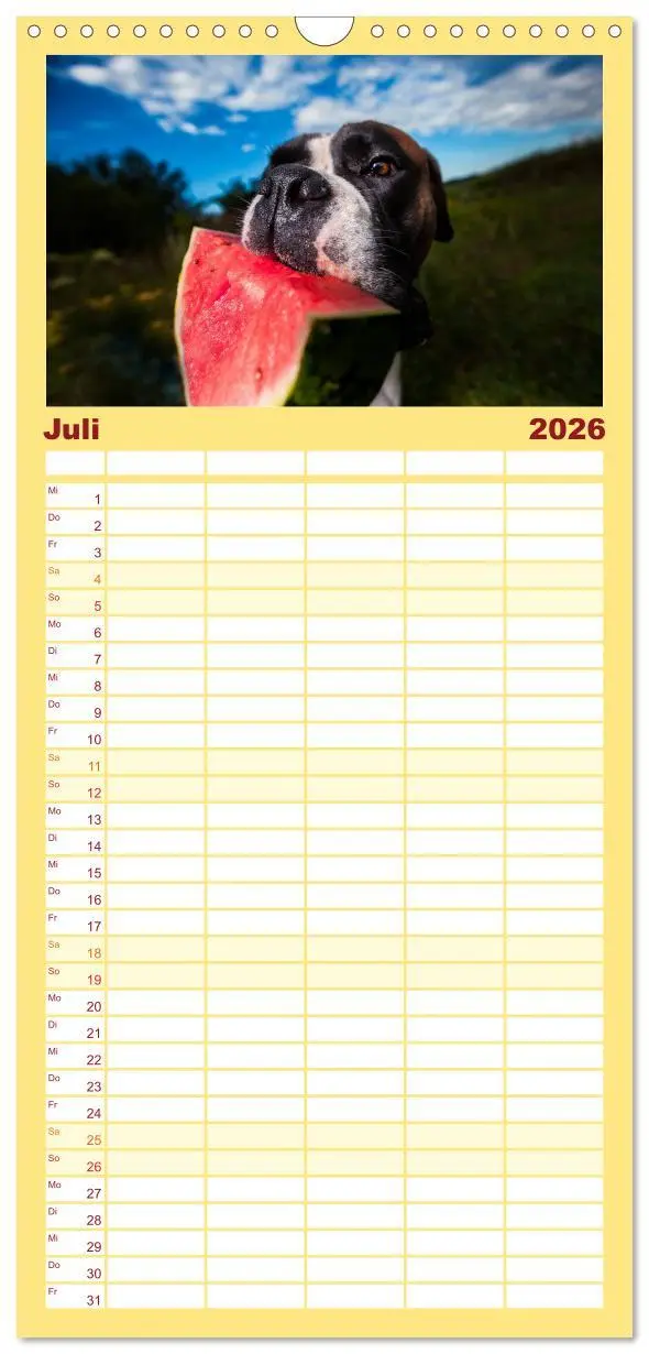 Bild: 9783516513660 | Familienplaner 2026 - Deutscher Boxer mit 5 Spalten (Wandkalender,...