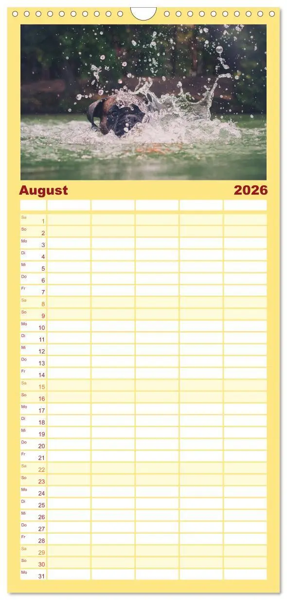 Bild: 9783516513660 | Familienplaner 2026 - Deutscher Boxer mit 5 Spalten (Wandkalender,...
