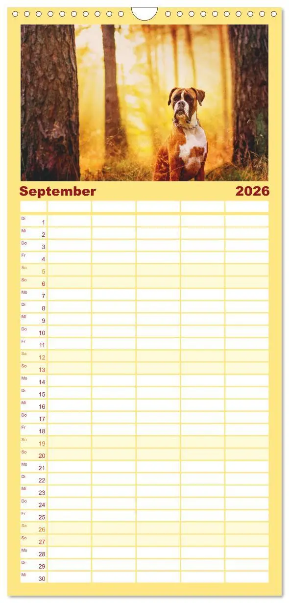 Bild: 9783516513660 | Familienplaner 2026 - Deutscher Boxer mit 5 Spalten (Wandkalender,...