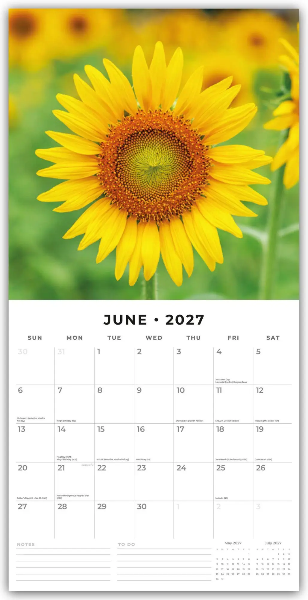 Bild: 9781837013760 | Sunflowers - Sonnenblumen 2027 - 16-Monatskalender | Robin Red | 28 S.