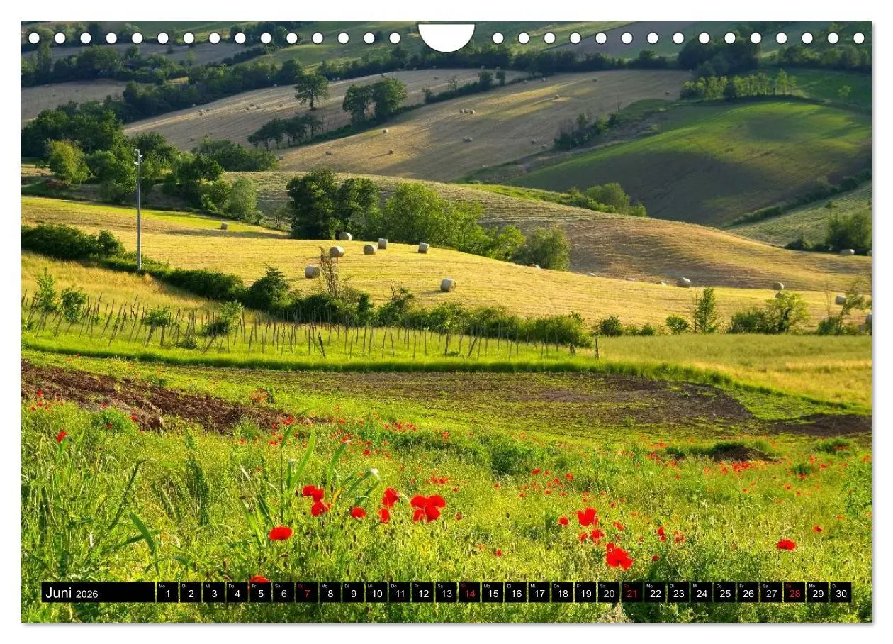 Bild: 9783516123760 | Emilia-Romagna (Wandkalender 2026 DIN A4 quer), CALVENDO...