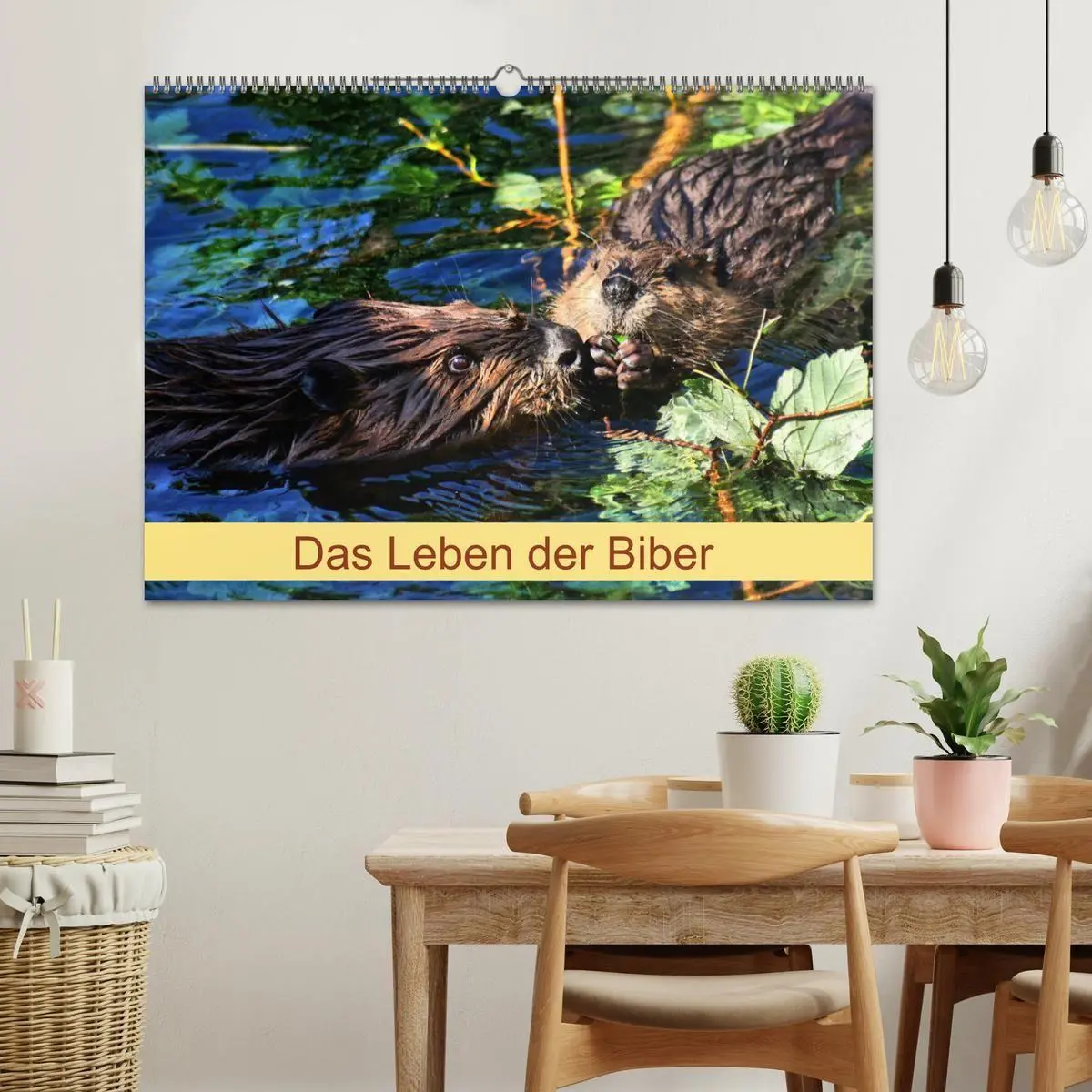 Bild: 9783569833760 | Das Leben der Biber (Wandkalender 2027 DIN A2 quer), CALVENDO...
