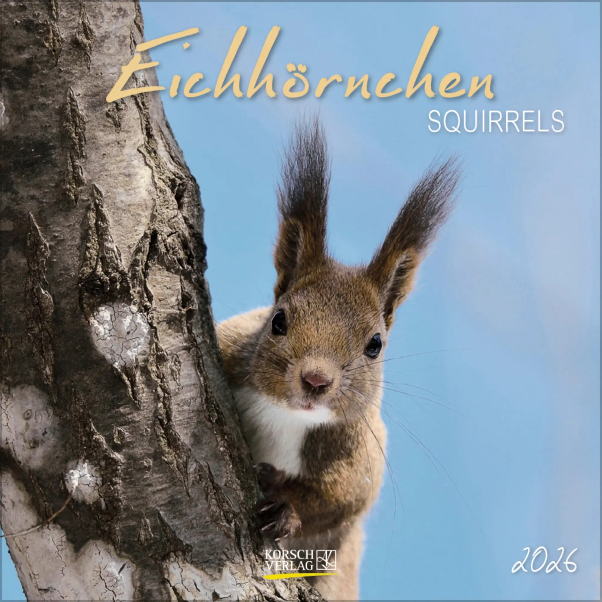 Cover: 9783731883760 | Eichhörnchen 2026 | Verlag Korsch | Kalender | 13 S. | Deutsch | 2026