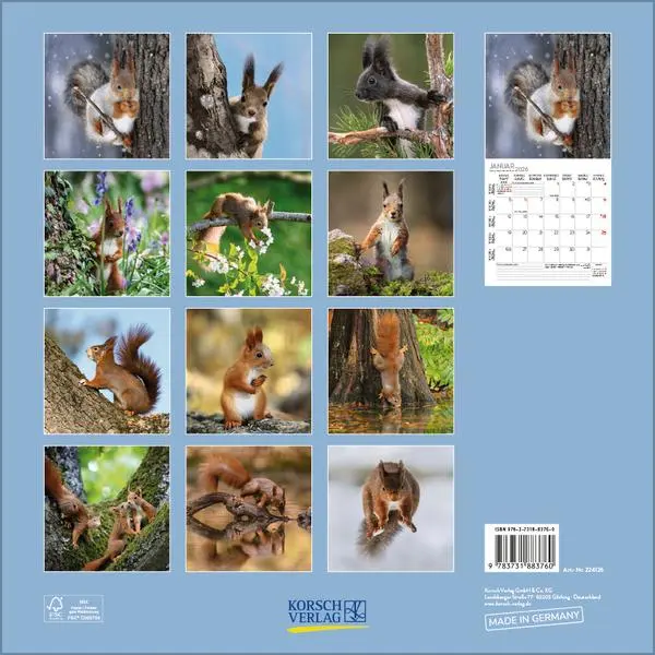Bild: 9783731883760 | Eichhörnchen 2026 | Verlag Korsch | Kalender | 13 S. | Deutsch | 2026