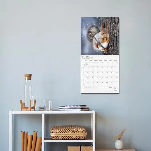 Bild: 9783731883760 | Eichhörnchen 2026 | Verlag Korsch | Kalender | 13 S. | Deutsch | 2026