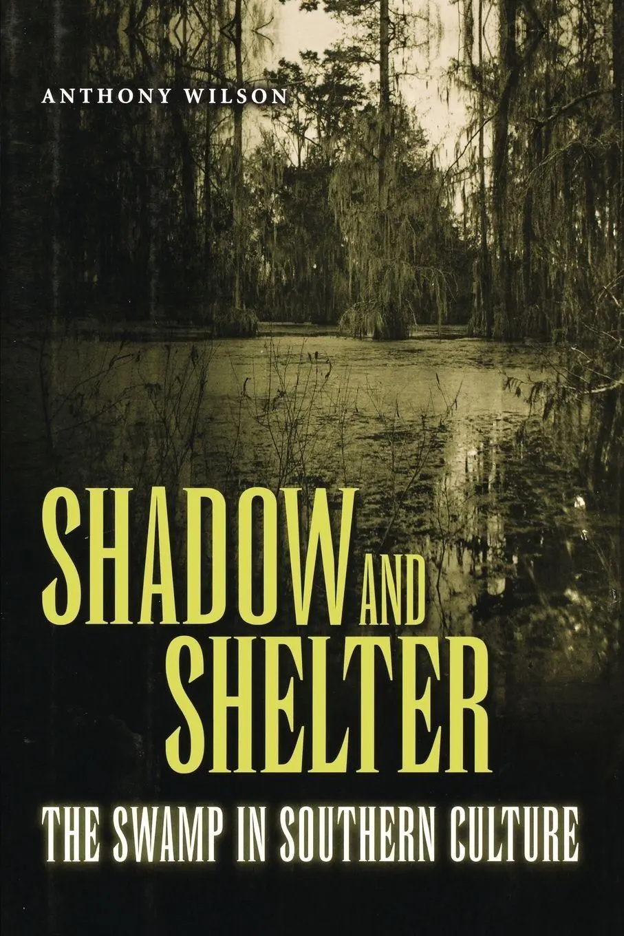 Cover: 9781604733860 | Shadow and Shelter | Anthony Wilson | Taschenbuch | Englisch | 2005