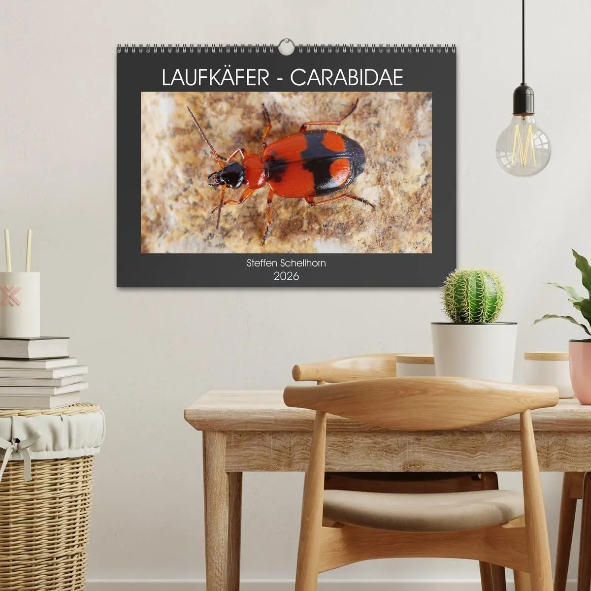 Bild: 9783457643860 | LAUFKÄFER - CARABIDAE (Wandkalender 2026 DIN A3 quer), CALVENDO...
