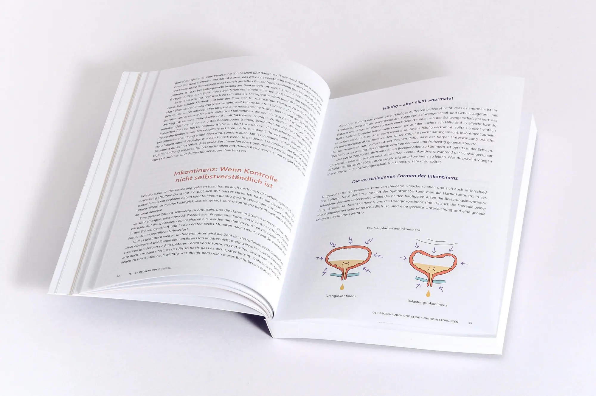 Bild: 9783517103860 | Die Beckenboden-Revolution | Katharina Charissé (u. a.) | Taschenbuch