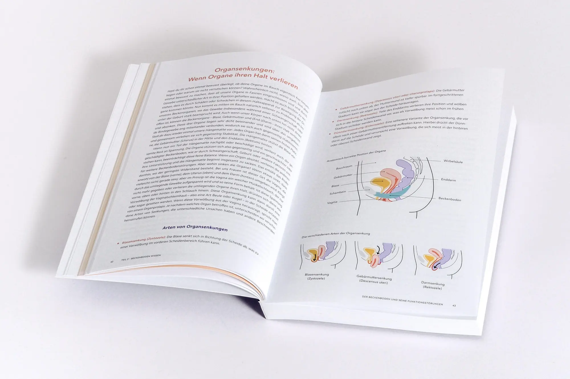 Bild: 9783517103860 | Die Beckenboden-Revolution | Katharina Charissé (u. a.) | Taschenbuch
