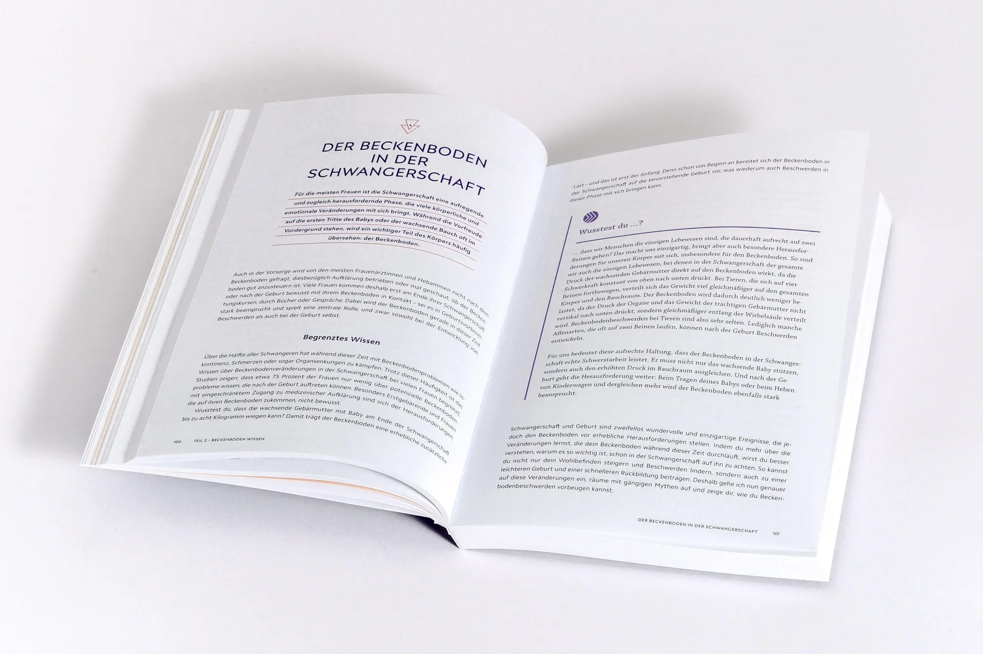 Bild: 9783517103860 | Die Beckenboden-Revolution | Katharina Charissé (u. a.) | Taschenbuch