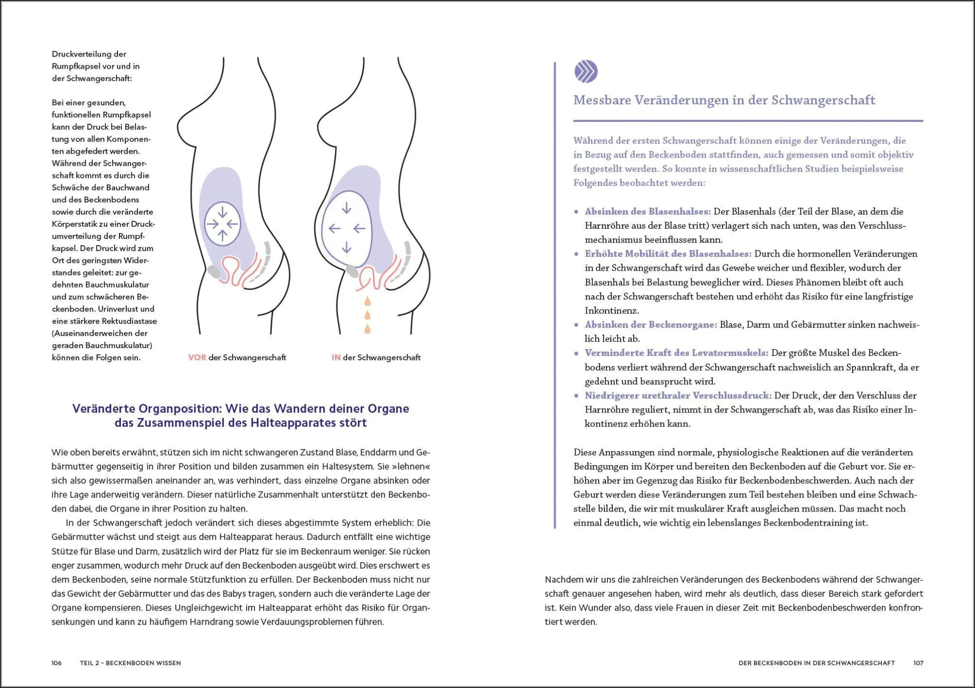 Bild: 9783517103860 | Die Beckenboden-Revolution | Katharina Charissé (u. a.) | Taschenbuch
