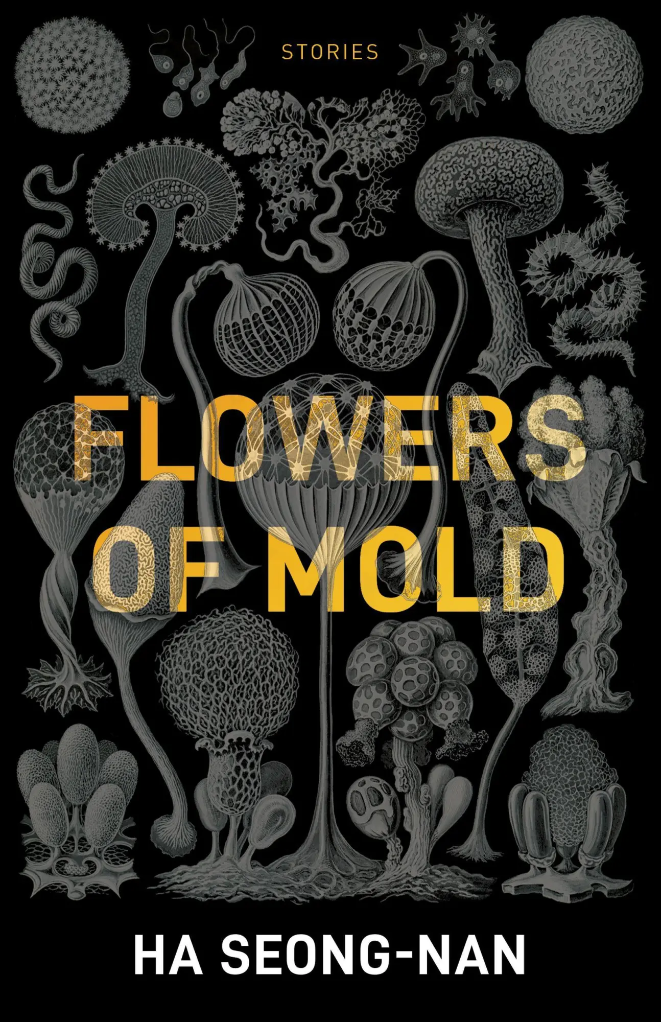 Cover: 9781940953960 | Flowers of Mold &amp; Other Stories | Ha Seong-Nan | Taschenbuch | 2019