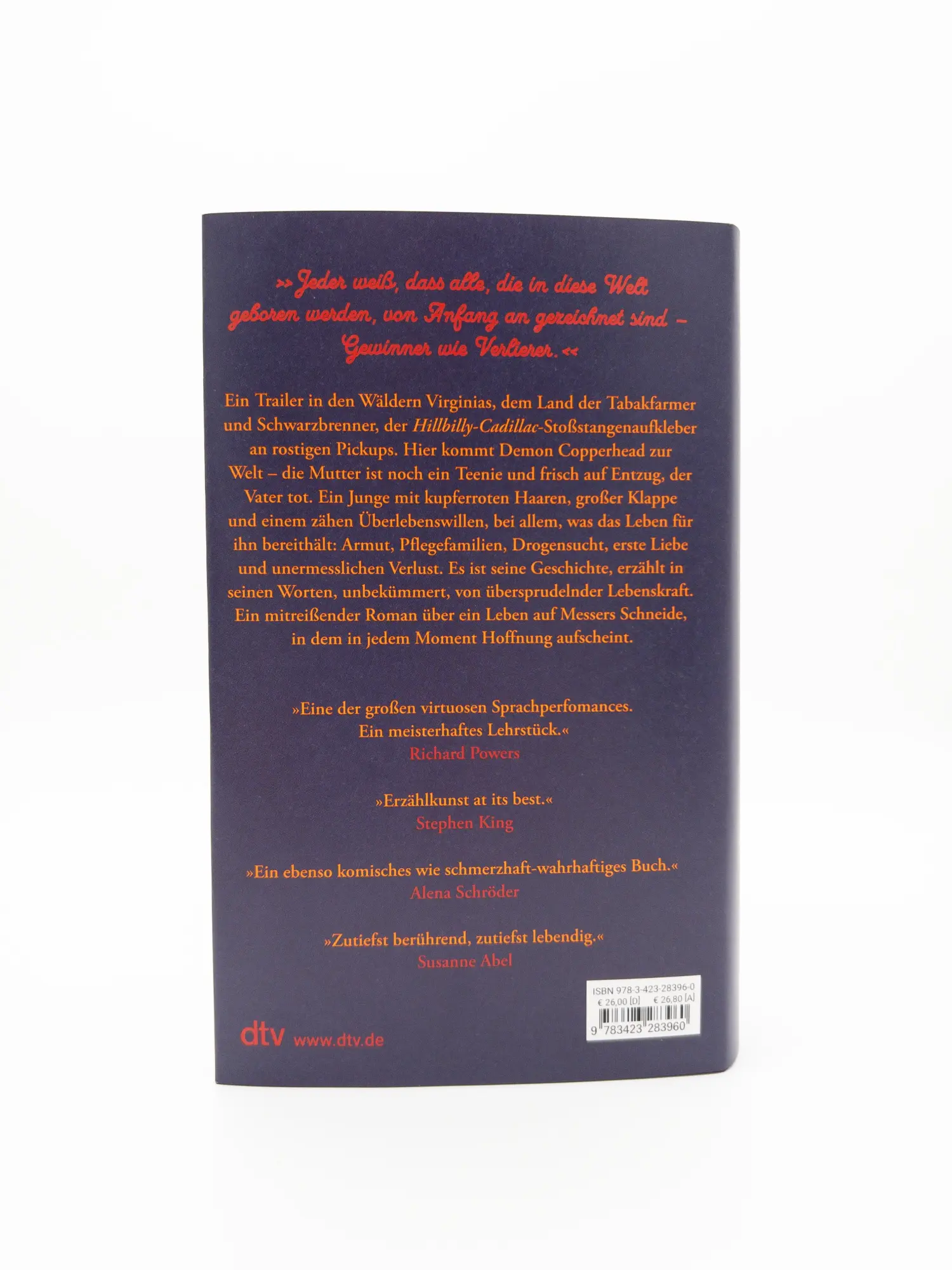 Bild: 9783423283960 | Demon Copperhead | Barbara Kingsolver | Buch | 864 S. | Deutsch | 2024