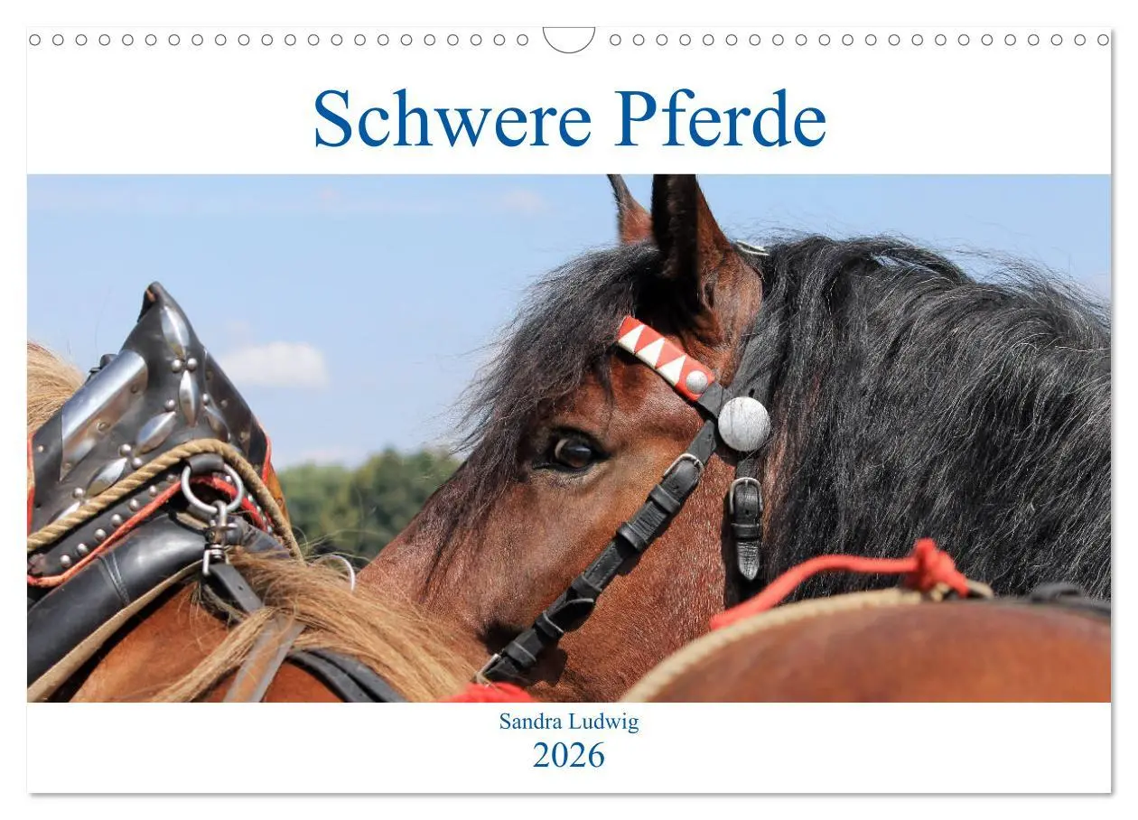 Cover: 9783457873960 | Schwere Pferde 2026 (Wandkalender 2026 DIN A3 quer), CALVENDO...