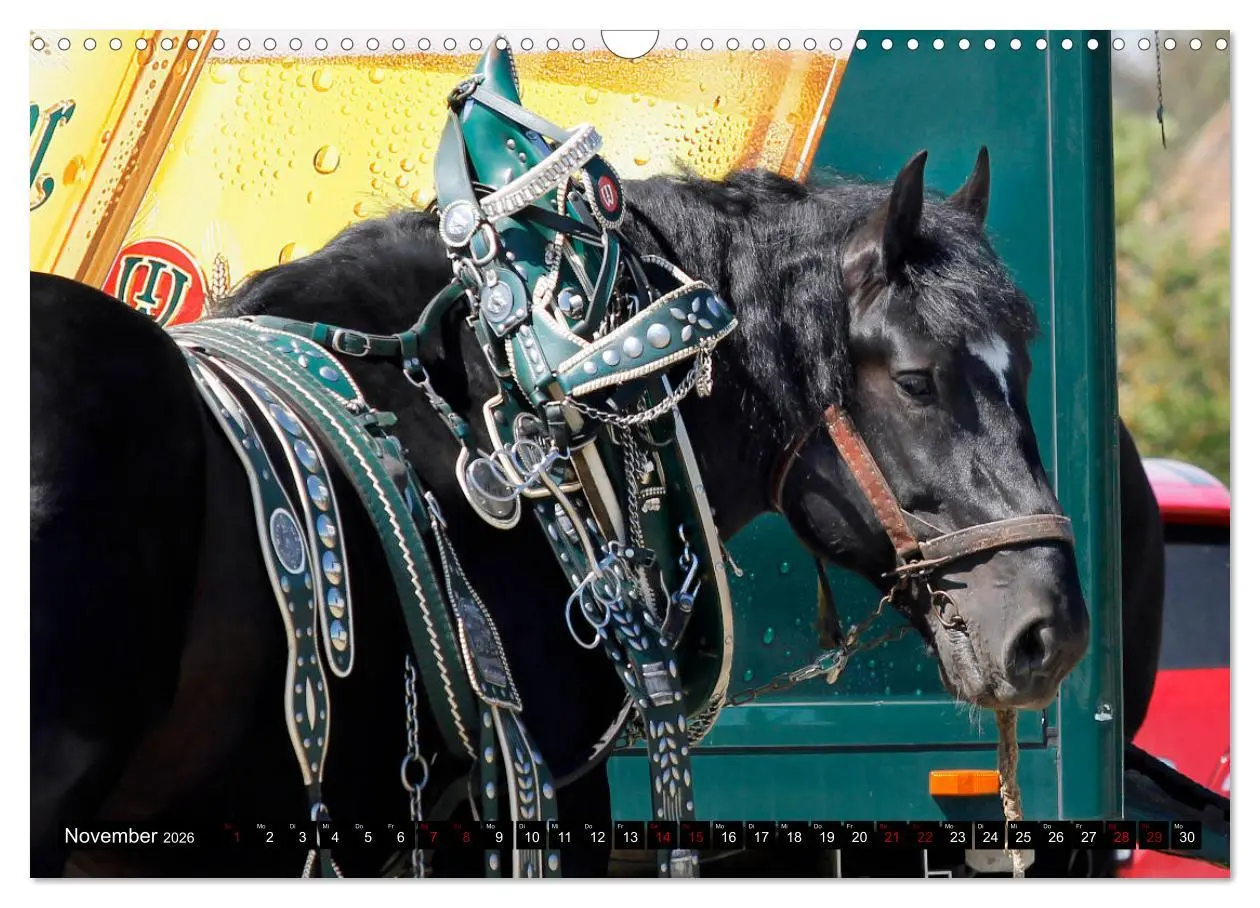 Bild: 9783457873960 | Schwere Pferde 2026 (Wandkalender 2026 DIN A3 quer), CALVENDO...