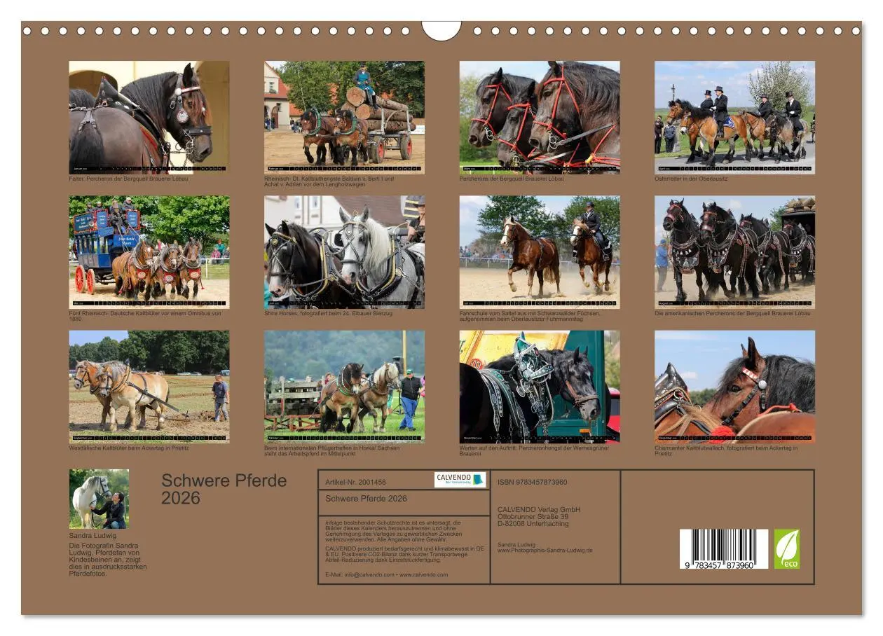 Bild: 9783457873960 | Schwere Pferde 2026 (Wandkalender 2026 DIN A3 quer), CALVENDO...